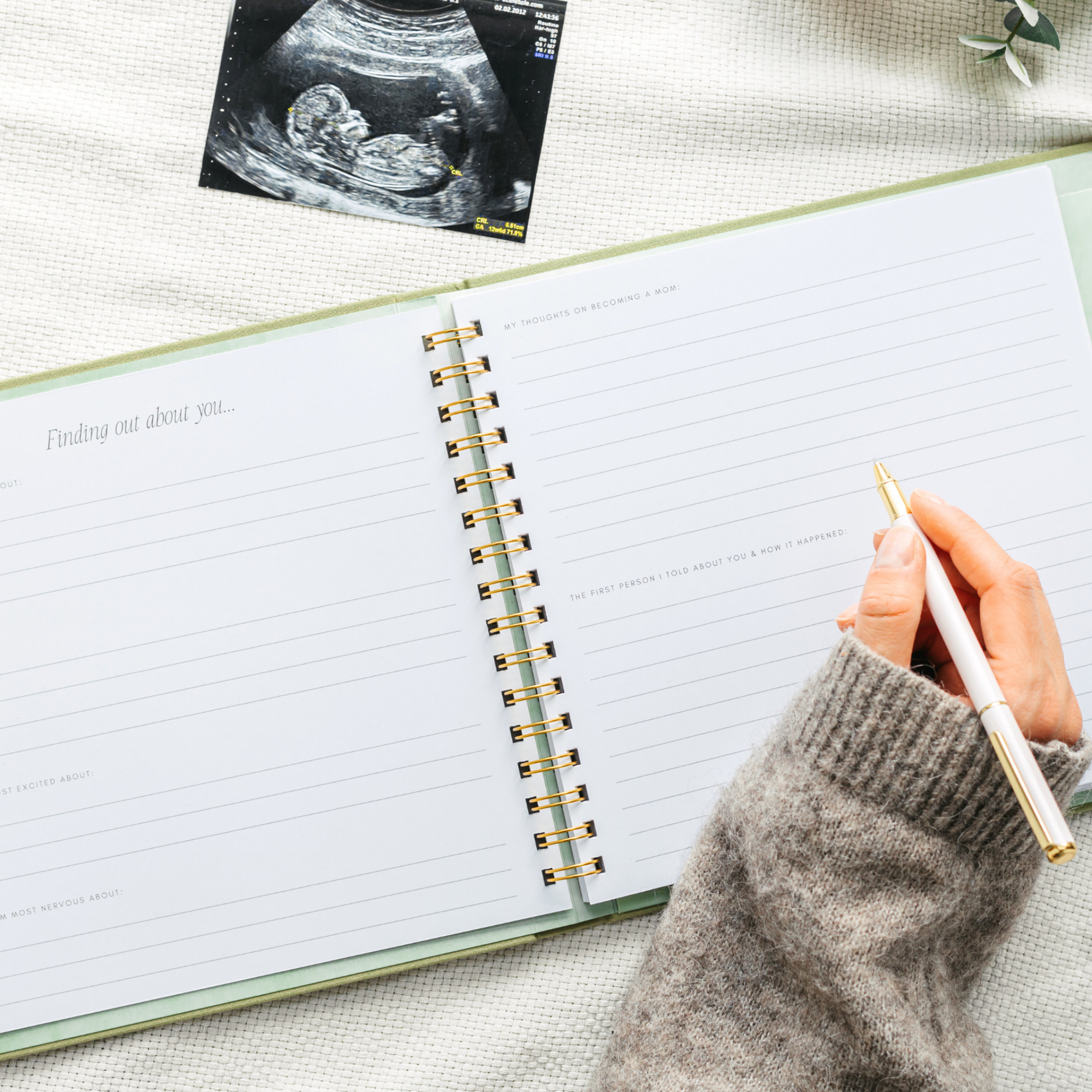 Linen Pregnancy Journal