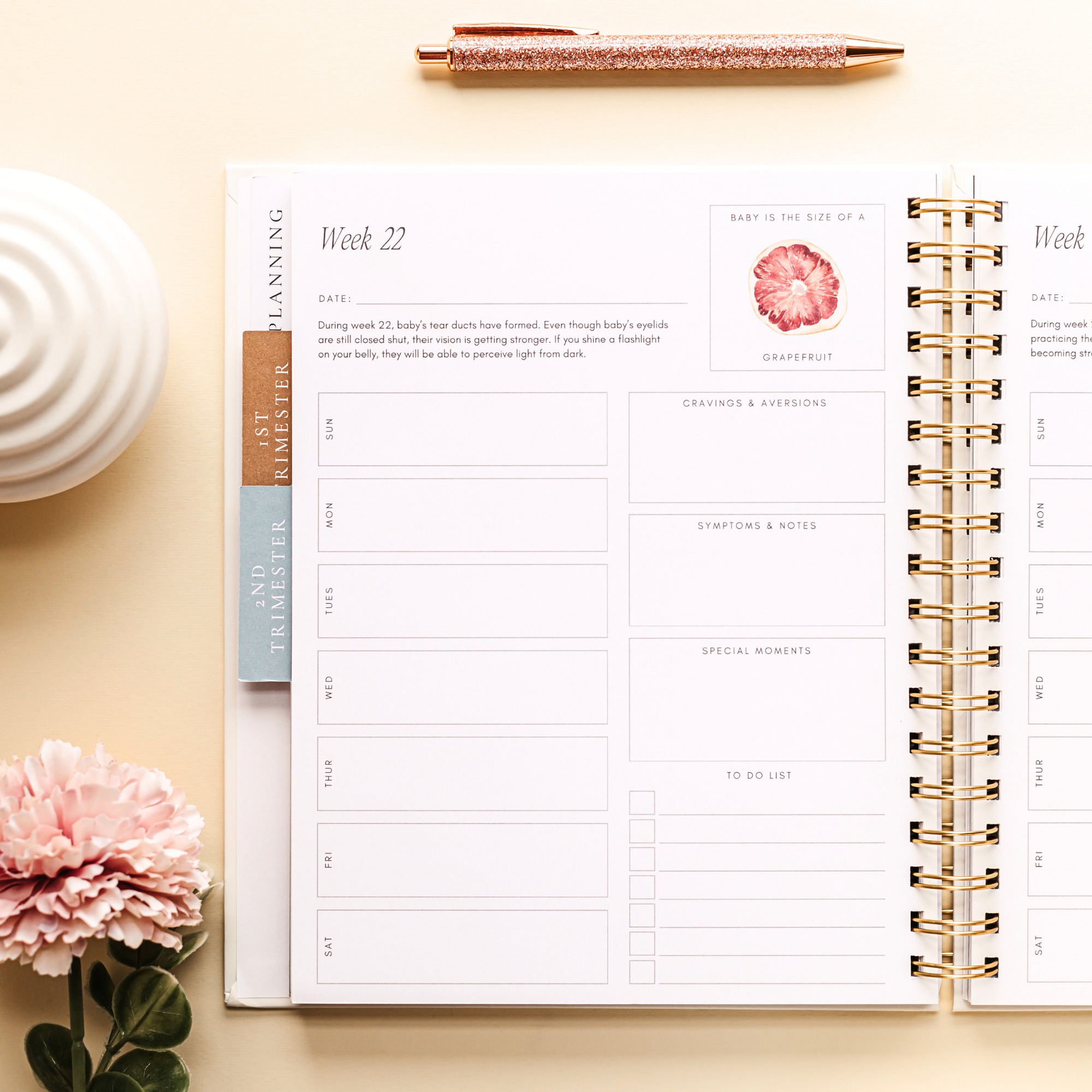 Spiral Pregnancy Journal