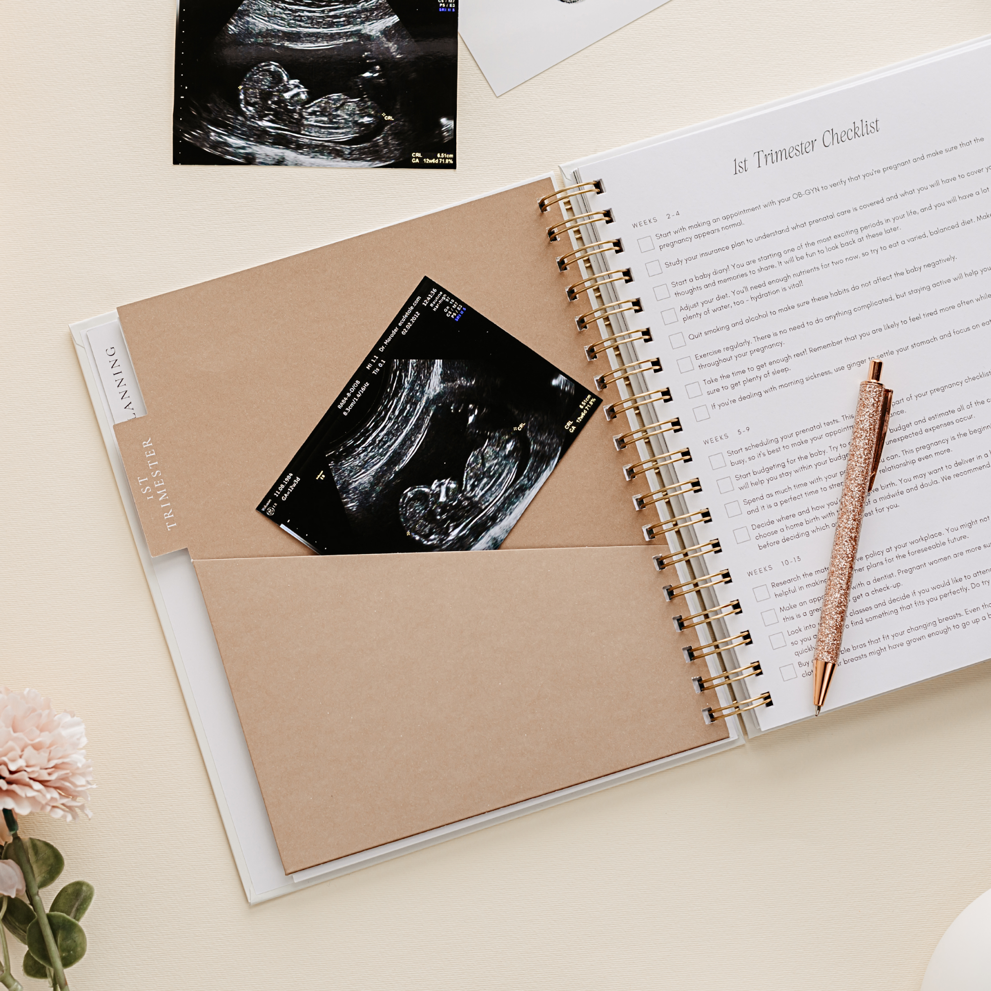 Spiral Pregnancy Journal
