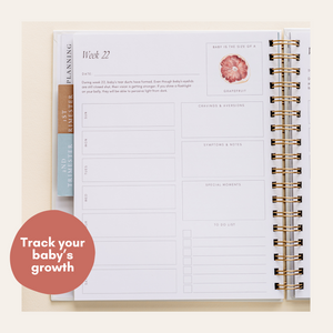 Pregnancy Journal & Planner – Timeless Memory Book for First-Time Moms