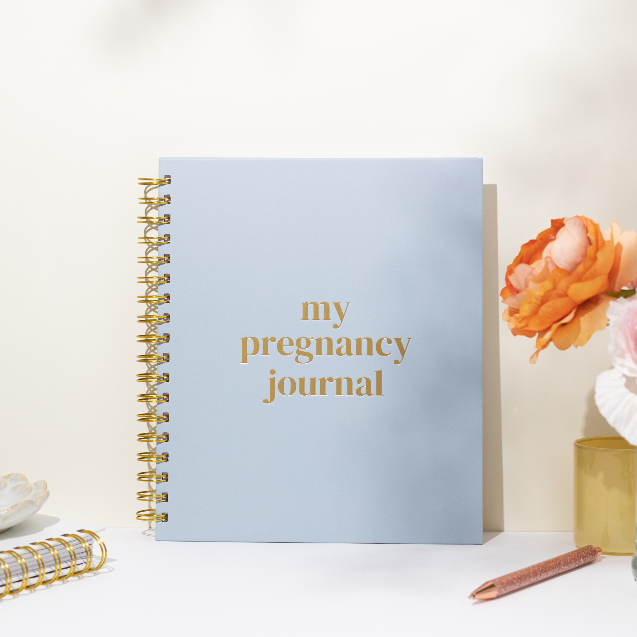 Pregnancy Journal & Planner – Timeless Memory Book for First-Time Moms